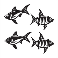 A Colorful and Streamlined Swordtail Fish, an Elongated and Aquatic Livebearer with a Swordlike Caudal Fin, a Peaceful and Vibrant Tropical Species for the Aquarium