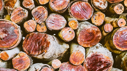 figs on a market stall