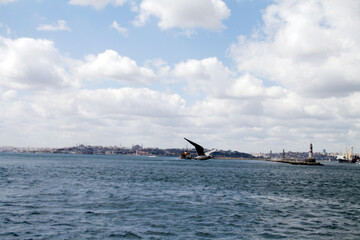 Naklejka premium View of the Historical Peninsula, Istanbul