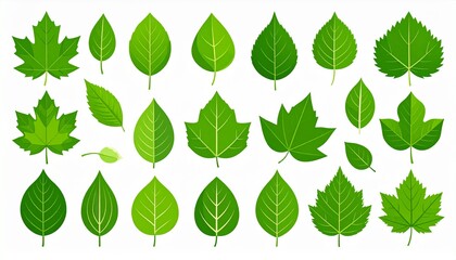 Set of green leaf icons. Leaves of trees and plants. Leaves icon. Collection green leaf. Elements design for natural, eco, bio, vegan labels.