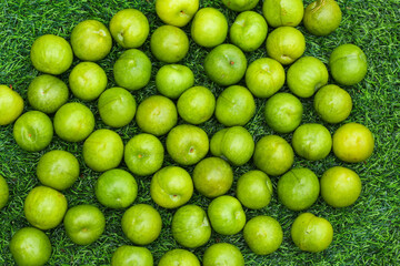 Fresh Green Plums on Grass - Organic Fruit Harvest Display