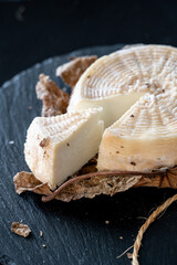 Close-up of a sliced wheel of fresh goat cheese with textured rind, presented on slate with dried leaves for a gourmet look. Stylish black background. Minimalistic photo
