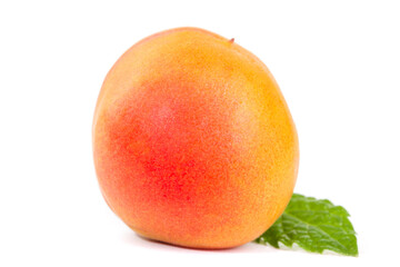 Fresh Ripe Apricot with Mint Leaf on White Background