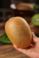 Fresh Organic Kiwi Fruit in Hand - Healthy Tropical Fruit from Zhouzhi Meixian Region