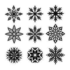 Vector art of collection of nine bold snowflake designs in black and white, each with a distinct and striking pattern