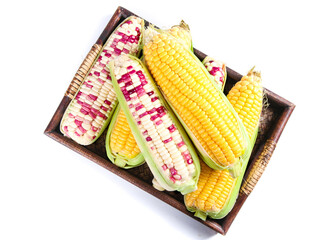 Fresh Sweet Corn Variety in Wooden Basket - Yellow and Multicolored Ears