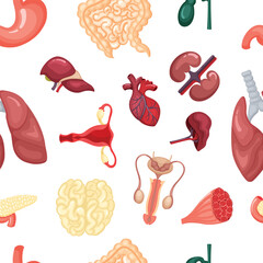 internal organs pattern. brain heart liver kidneys reproductive system. vector cartoon flat seamless pattern