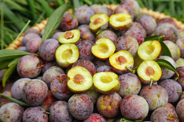 Fresh Sichuan Plums in Basket - Ripe Red Fruit with Yellow Flesh Cut in Half