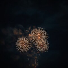 fireworks over the river