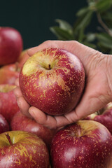 Hand Holding Fresh Imperfect Red Apple with Natural Blemishes and Organic Appearance
