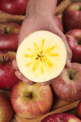 Fresh Daliang Yanyuan Mountain Apples with Heart Star Core Pattern in Wooden Crate