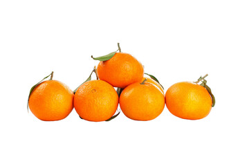 Fresh Ehime Oranges with Leaves Isolated on White Background - Citrus Fruit Harvest