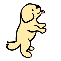 Cartoon golden retriever puppy standing and sticking tongue out. Cute and funny dog illustration.