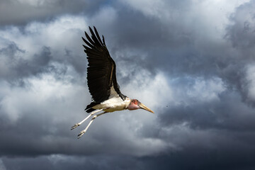 Maribu against the storm clouds