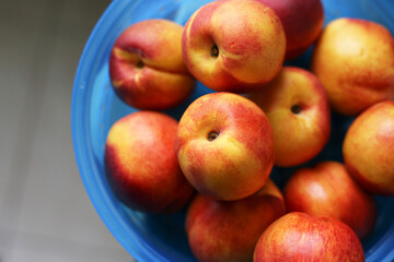 Fresh nectarines in blue bowl. Juicy fruits with natural colors. Healthy organic summer snack. Ripe sweet nectarines with vibrant texture. Natural vitamins and freshness. Tasty dessert from garden.