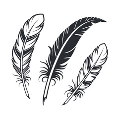 Flat Feather Icon Set | Decorative Writing Quill Vector