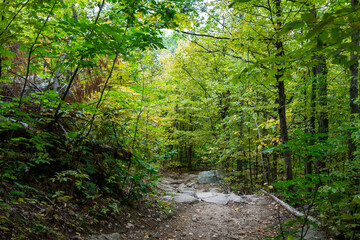 Forest trail through Gatineau Park, Quebec, Canada in autumn