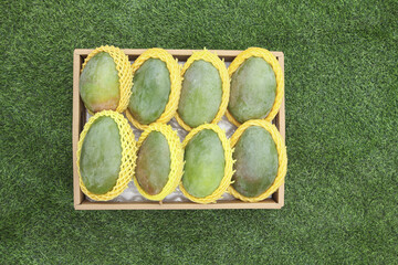 Naklejka premium Fresh Sichuan Panzhihua Mangoes in Wooden Crate with Protective Netting on Grass