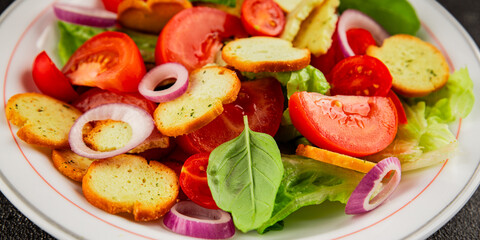 Panzanella salad tomato, croutons, onions vegetables dish natural product tasty snack fresh delicious gourmet food background on the table rustic top view copy space