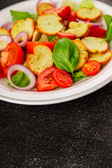 Panzanella salad tomato, croutons, onions vegetables dish natural product tasty snack fresh delicious gourmet food background on the table rustic top view copy space