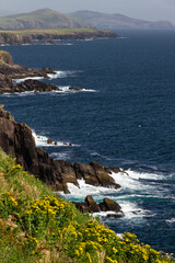 View of the coast of the sea 2
