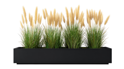 A dark-gray planter filled with tall grasses and pampas