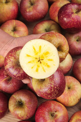 Fresh Xinjiang Apples with Star Pattern Core - Hand Holding Cut Fruit Showing Natural Quality