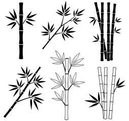 Elegant bamboo stalks with leaves create a serene, minimalist design element