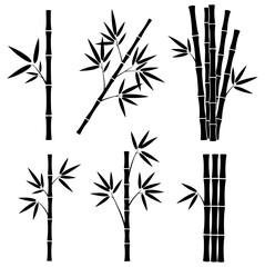 Elegant bamboo stalks add serene natural touch
