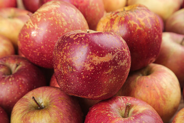 Liangshan Yanyuan Mountain Apples with Natural Rustic Appearance and Speckled Skin Patterns