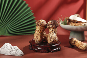 Fresh Yunnan Agaricus Mushrooms on Traditional Wooden Stand - Asian Culinary Ingredients