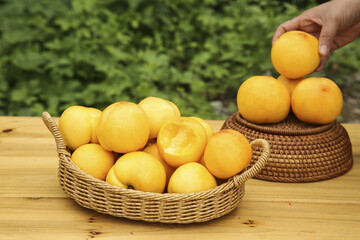 Fresh Golden Nectarines in Wicker Basket - Hand Picking Ripe Summer Fruit Outdoors