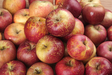 Freshly Harvested Apples from Yunnan Province China - Organic Red Yellow Fruit Collection