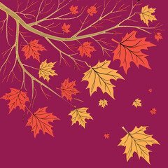 Collection of geometrical autumn leaves. Colorful botanical icons set isolated on red 