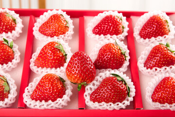 Fresh Premium Strawberries in Red Gift Box with Protective Foam Packaging for Gourmet Fruit Delivery