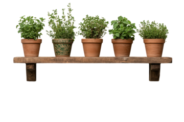 Herb Garden Shelf: A meticulously arranged shelf proudly displays a vibrant collection of potted herbs, creating a sense of rustic charm and culinary inspiration. 