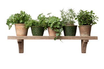 Herb Garden on Shelf: A collection of vibrant herbs thriving in rustic clay pots, artfully arranged on a weathered wooden shelf, creating a charming scene of natural beauty and culinary promise.