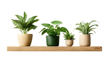 Fototapeta premium Plant Arrangement on Shelf: An artful arrangement of vibrant potted plants rests on a wooden shelf.