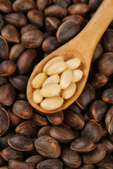 Wild Pine Nuts Harvested from Yunnan Mountains - Fresh Natural Nuts in Wooden Spoon with Shells