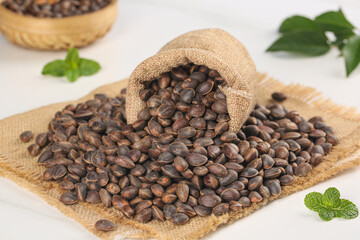 Wild Pine Nuts Harvest in Burlap Sack with Fresh Mint Leaves on Wooden Surface