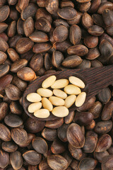 Wild Pine Nuts from Yunnan China - Deep Brown Harvest Nuts in Wooden Spoon for Healthy Organic Cooking Ingredients