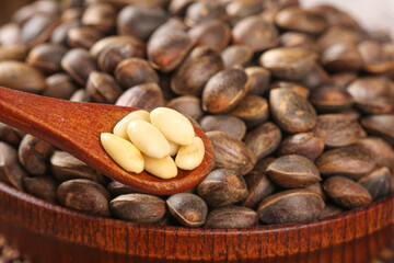 Wild Pine Nuts Harvested from Yunnan Mountains China in Wooden Bowl and Spoon Natural Organic Forest Food