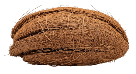 An earthy coconut shell a reminder of tropical beaches rustic island vibes with macro detail on a