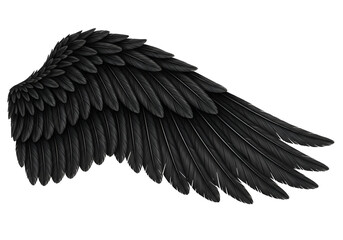 Detailed close-up of a dark, textured bird wing, showcasing intricate feather details against a stark black background.