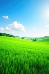 Serene Green Field Stretching to the Horizon Under a Clear Blue Sky Idyllic Pastoral Landscape Perfect for Nature, Environmental, and Agricultural Themes