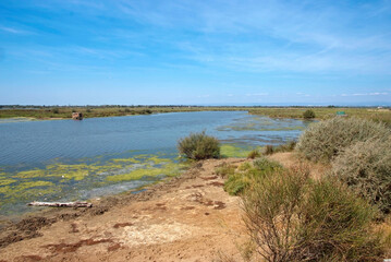 Réserve ornithologique, Portiragne, 34,Herault, France