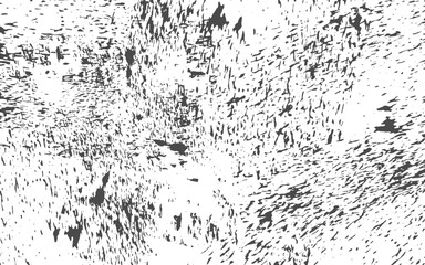 Fototapeta premium Abstract texture dust particle and dust grain on white background. Light black and white grunge background. Abstract texture of dust