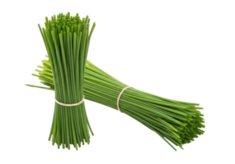 Two bundles of fresh chives are presented against a black background, showcasing their vibrant green color and tightly bound structure.