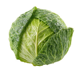 Fresh green cabbage head, close-up