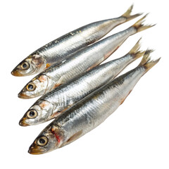 anchovies, cutout PNG transparent background
